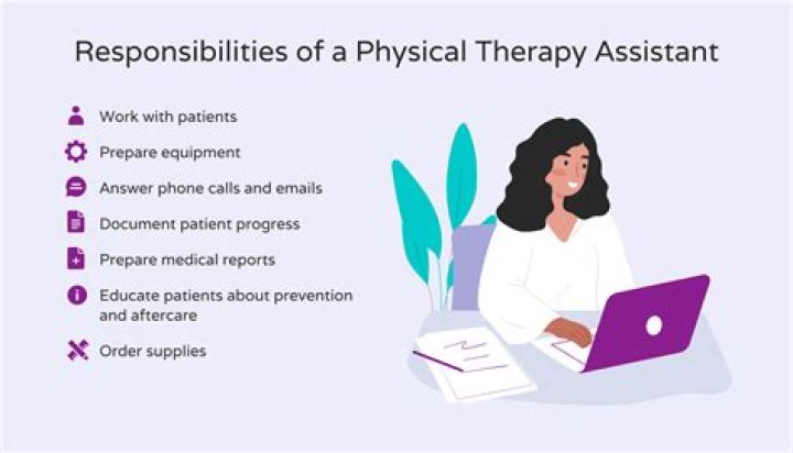 What are the job requirements of a physical therapist?