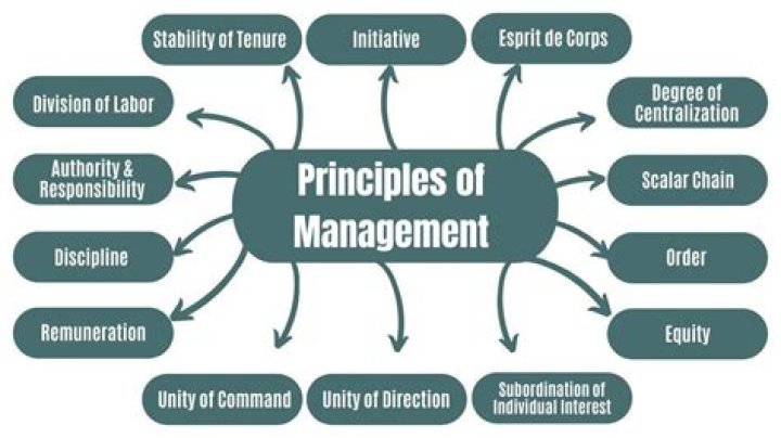 What are the principles of real estate management?