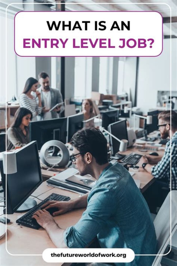 What are the requirements for an entry-level position?