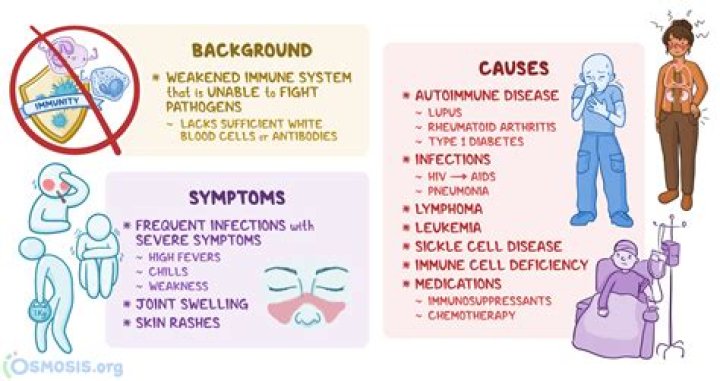 What are the symptoms of low immune system?