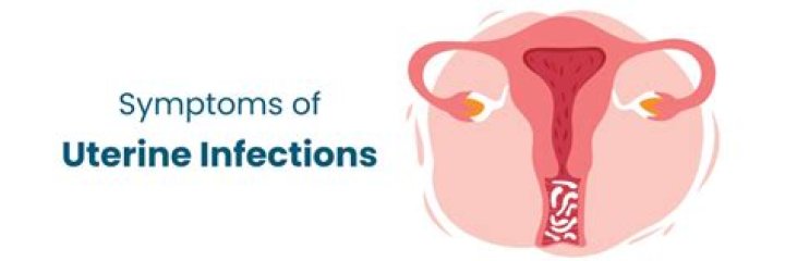 What are the symptoms of uterus infection?