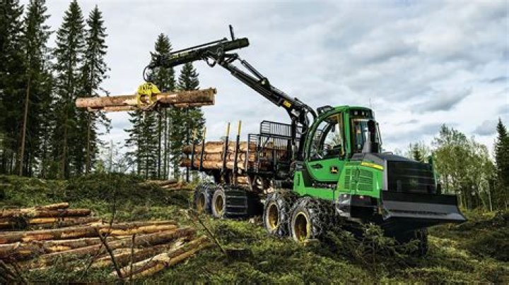 What are the two main types of logging?