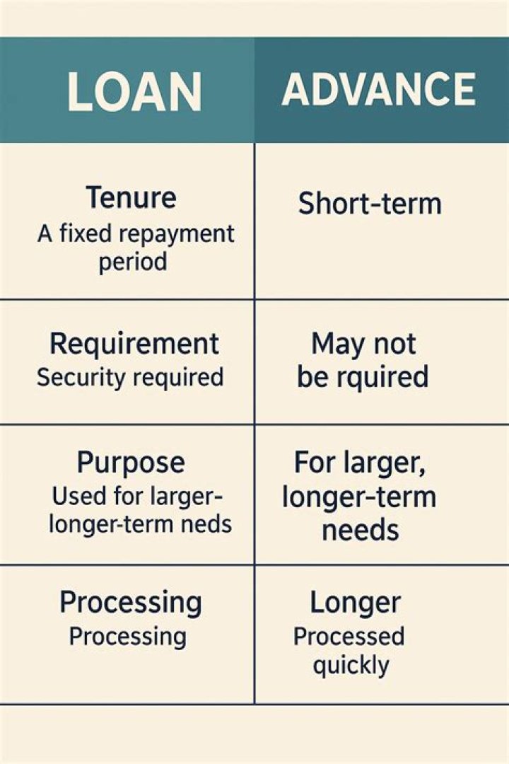 What are the types of loan and advance?