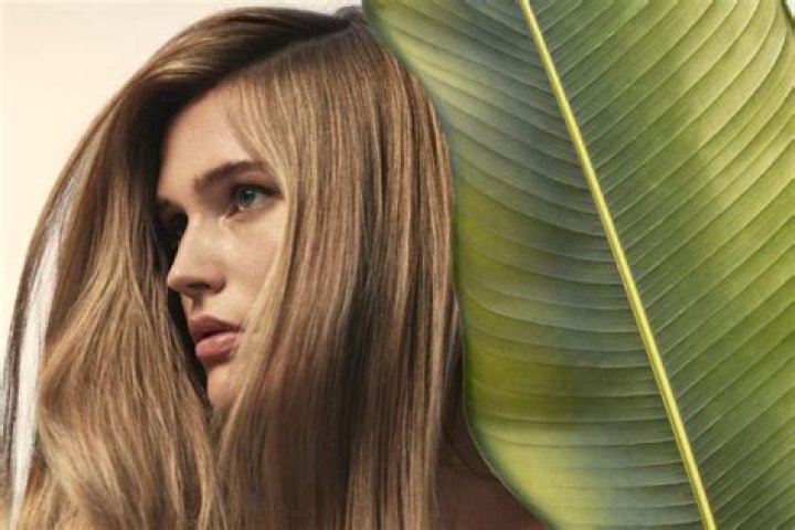 What are the typical duties of a cosmetologist?