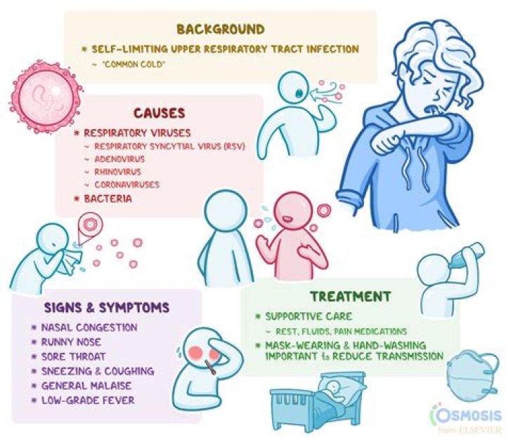 What bacteria causes sinus infection?