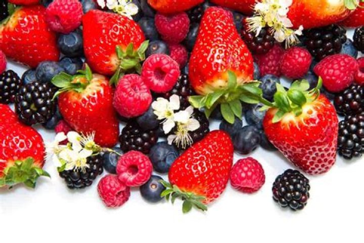 What beer is best for your liver?