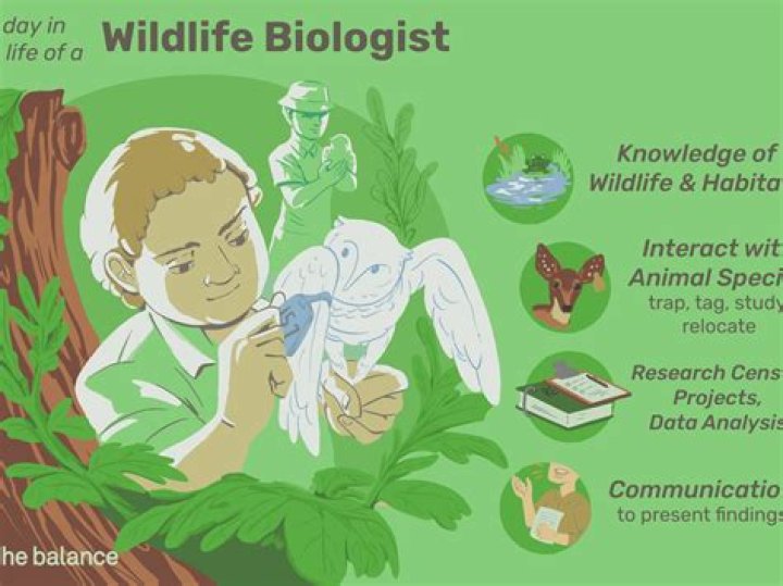 What benefits does a wildlife biologist have?