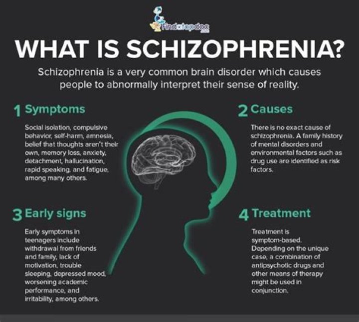 What causes schizophrenia?