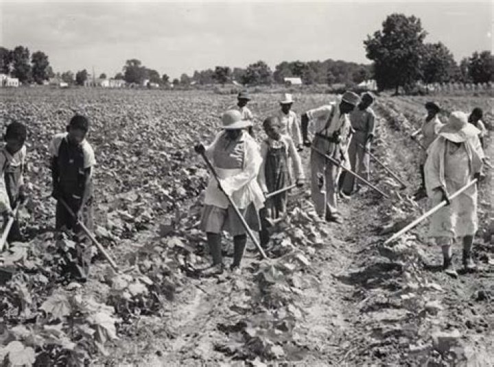 What crops did migrant workers pick in the 1930s?