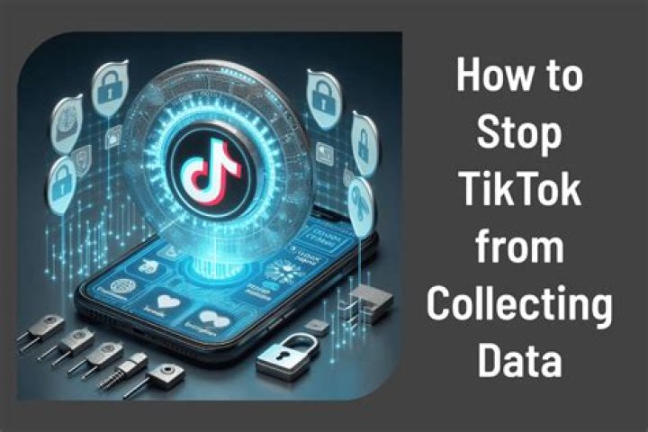 What data does TikTok collect?