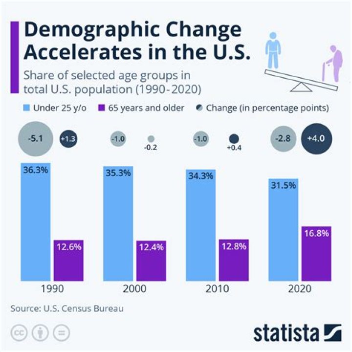 What demographic group is served by Medicare?