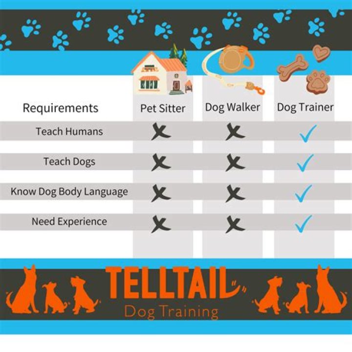 What do a dog trainer do?