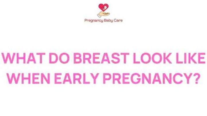 What do breasts look like in early pregnancy?