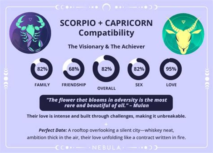 What do Capricorns find attractive?