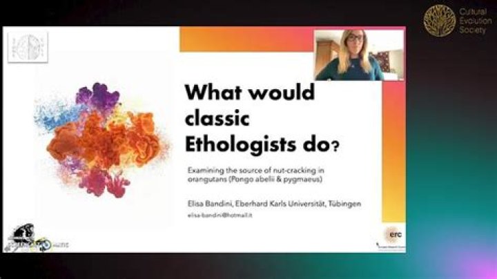 What do Ethologists do?