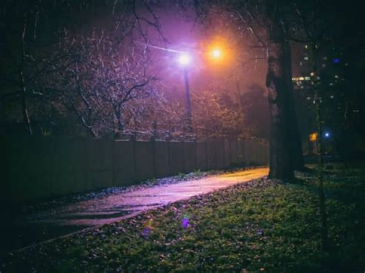 What do the purple lights mean?