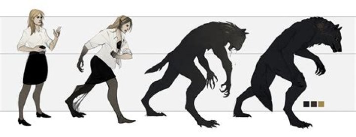 What do werewolves look like in human form?