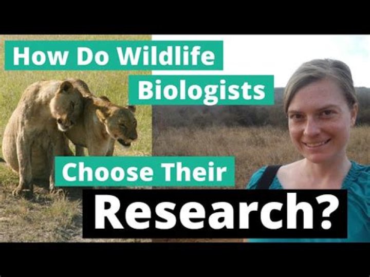 What do wildlife biologists do on a daily basis?