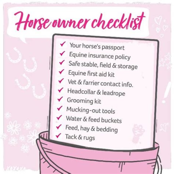 What do you need for a horse checklist?