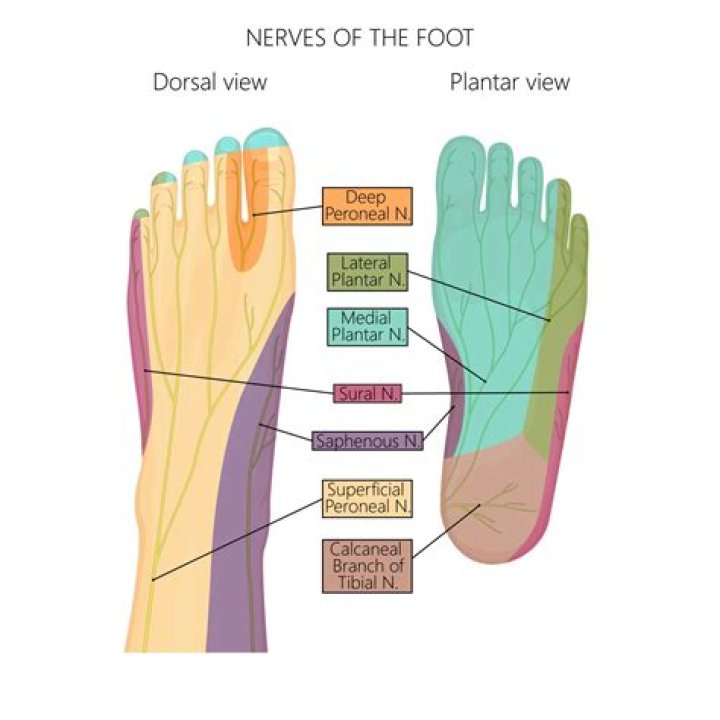 What doctor do you see for numbness in feet?
