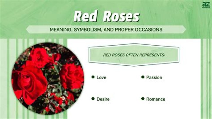 What does 3 red roses mean?