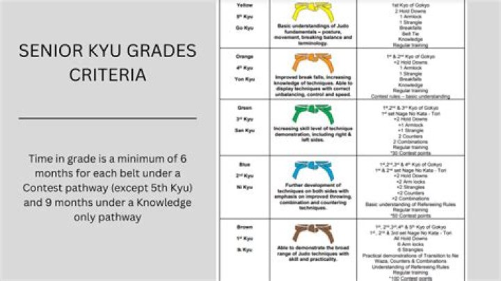 What does 6th Kyu mean?