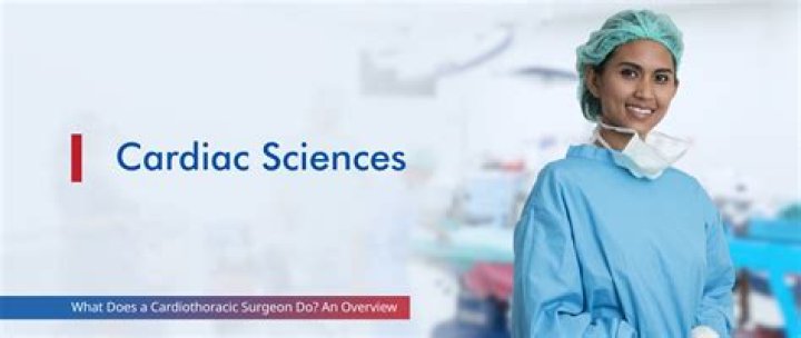 What does a cardiothoracic doctor do?