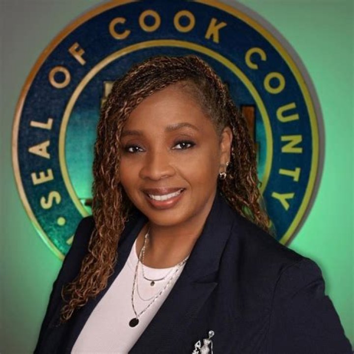 What does a Cook County commissioner do?