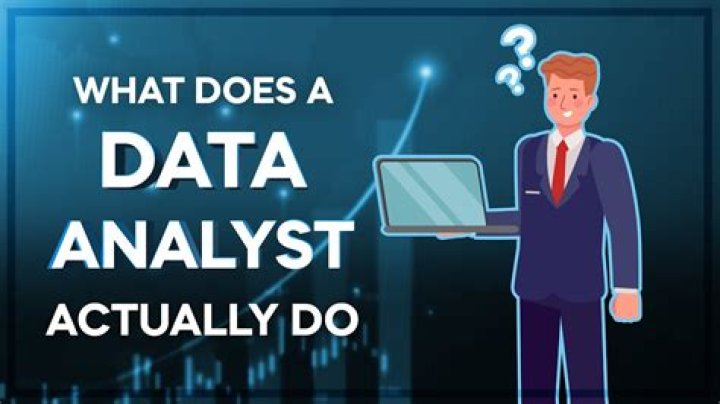 What does a data analyst usually do?