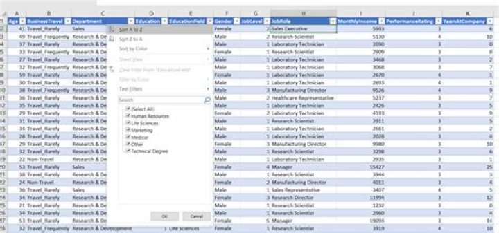 What does a formula do in a spreadsheet program apex?
