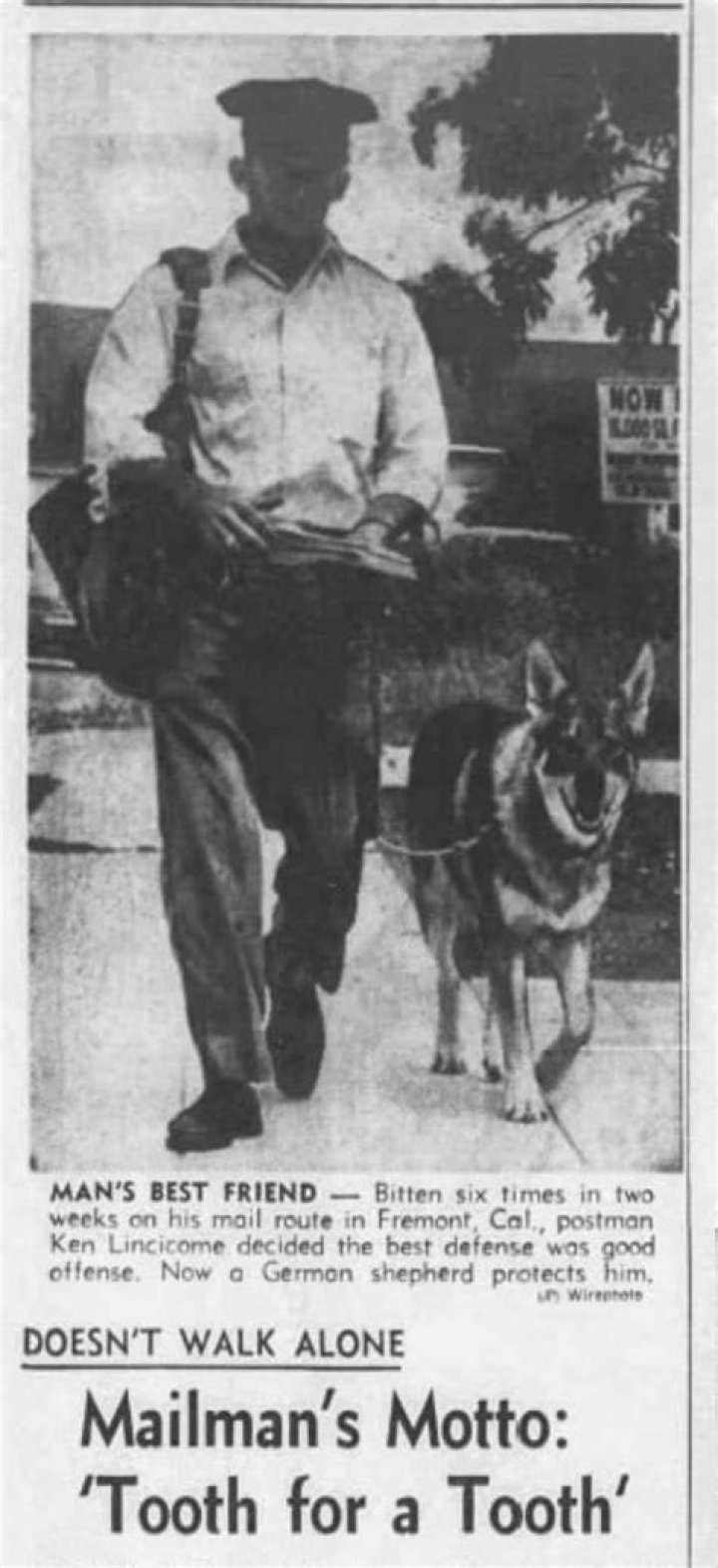 What does a mailman do?