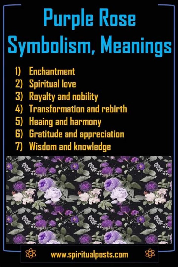 What does a purple rose mean spiritually?