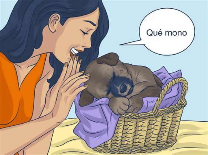 What does Chula mean in Spanish slang?