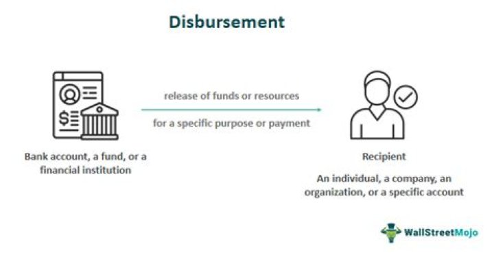 What does financed disbursement mean?