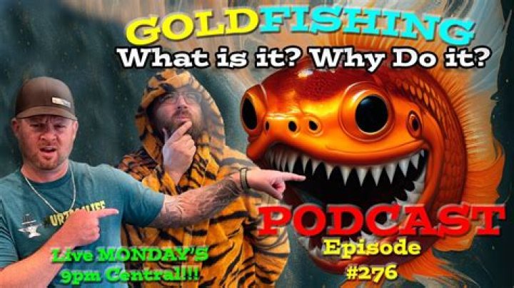 What does Goldfishing mean in MTG?