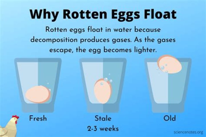 What does it mean if an egg floats?