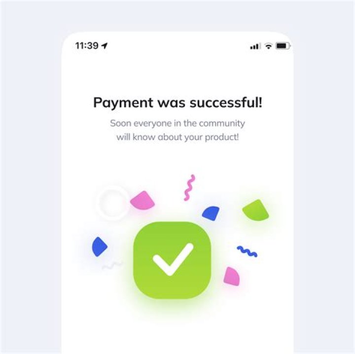 What does it mean when a payment is authorized?