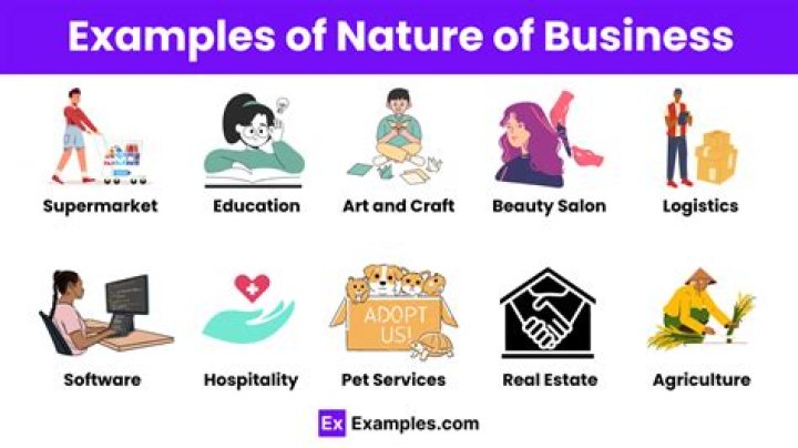 What does it mean when asked what is the nature of your self employment?