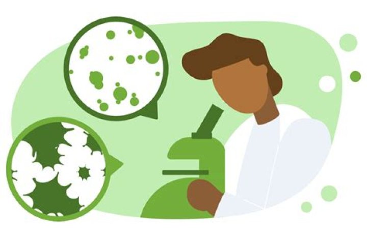 What does it take to become a virologist?
