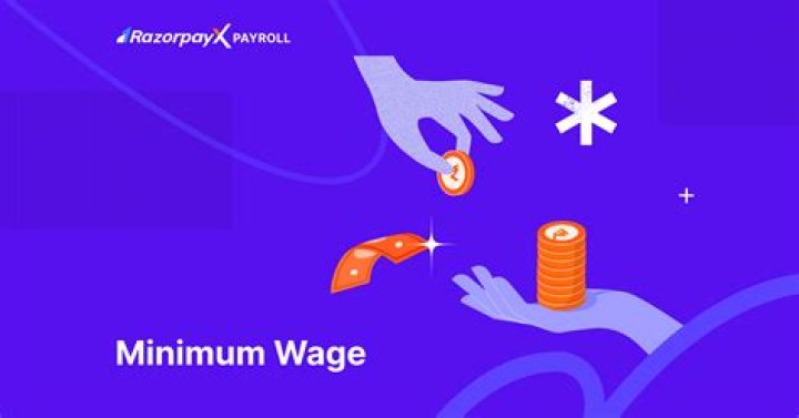 What does minimum wage pay an hour?