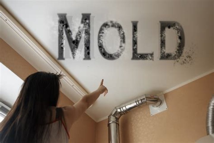 What does mold do to your brain?