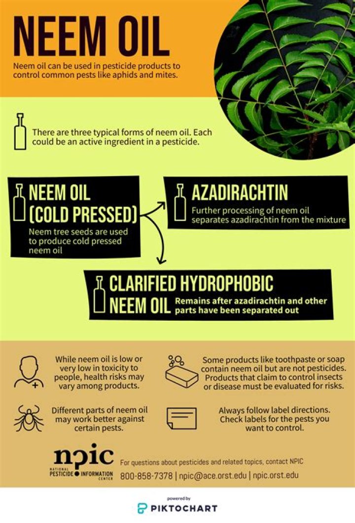 What does neem oil do for hair?