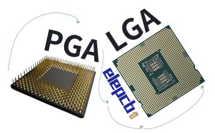 What does PGA stand for in biology?