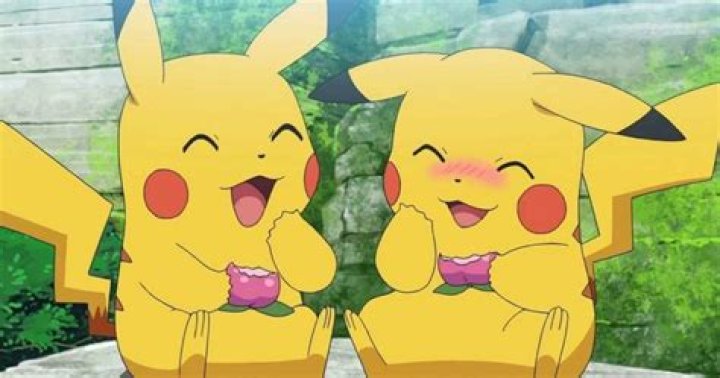 What does Pika Pi mean?