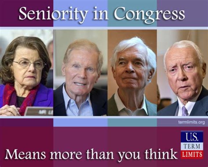 What does seniority rule mean in politics?