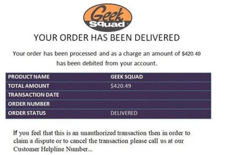 What does the Geek Squad charge per hour?