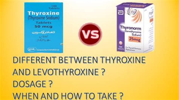 What drugs interfere with levothyroxine?
