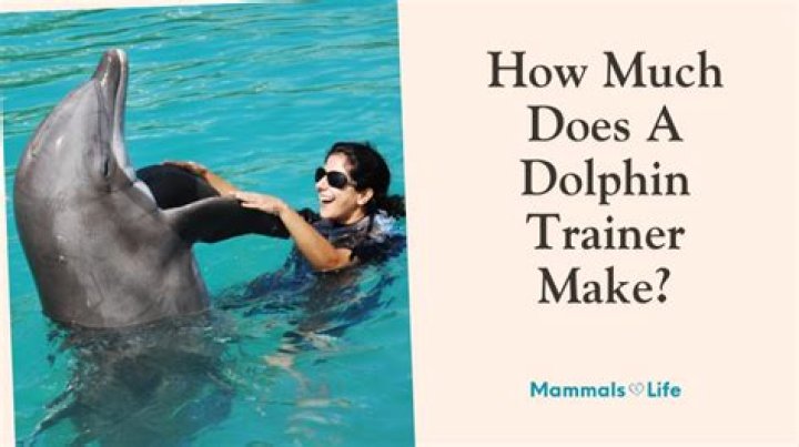 What education does a dolphin trainer need?