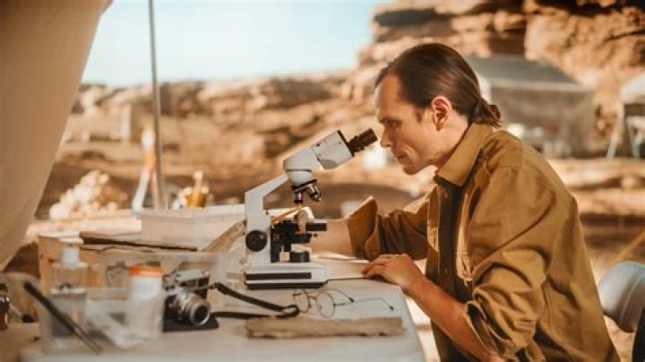 What experience do you need to be an Archaeologist?