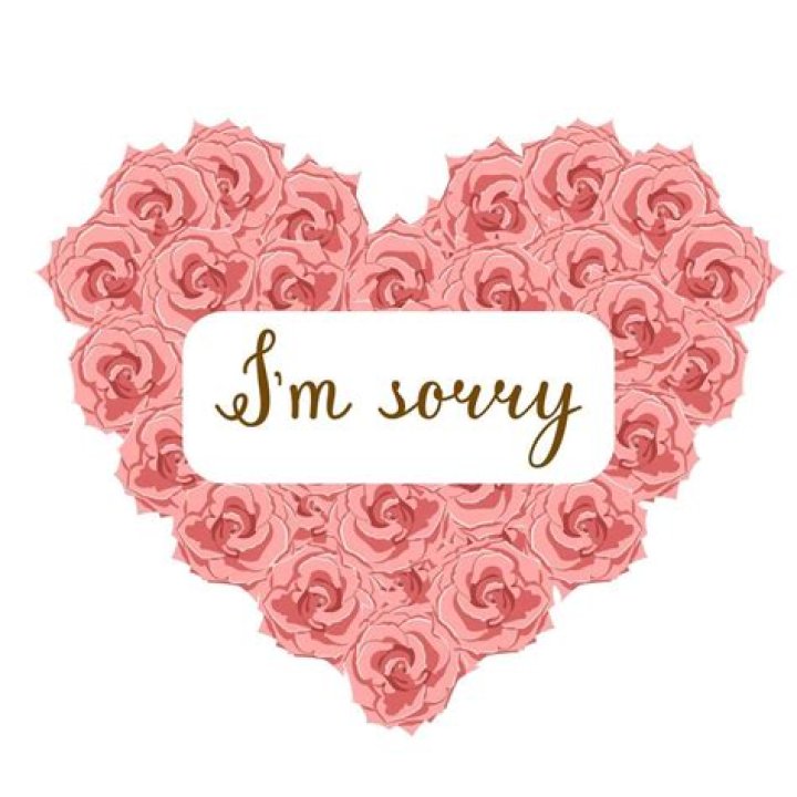 What flower says sorry?